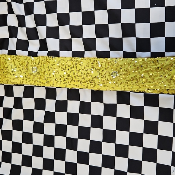 Weissman Dance Costume / Mardi Gras Party Costume Size MA - Picture 12 of 12